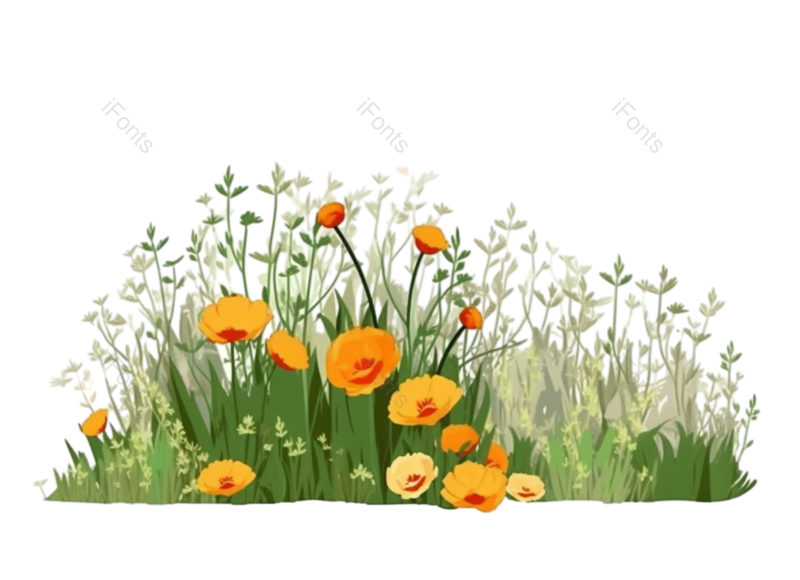 装饰图片,元素元素,清新PNG,插画免抠素材